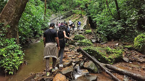 Guided Nature Walks and Treks
